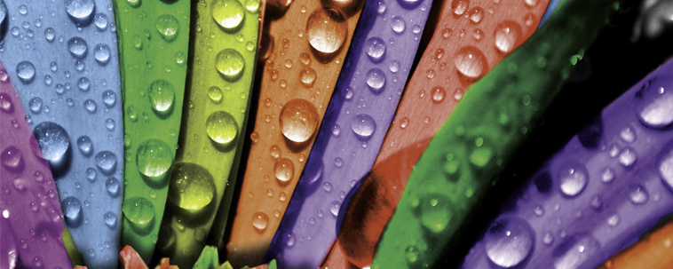 Compromiso Ecológico